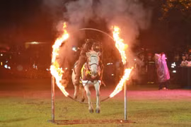 Nín thở xem chiến sĩ kỵ binh cưỡi “chiến mã” lao qua vòng lửa