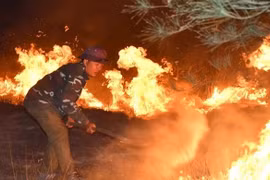 Nắng nóng gay gắt, nhiều nơi liên tiếp xảy ra các vụ cháy rừng