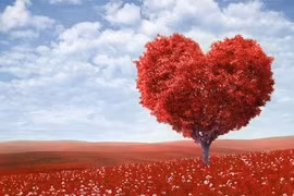 "Độc chiêu" thả thính khiến crush "đổ rầm rầm" mùa Valentine