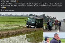 Quá tin Google Map, đoàn du khách nhận cái kết đắng khi đến Việt Nam