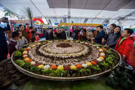 Đặc sản "cá leo cây" kỳ lạ nhất hành tinh ở Việt Nam