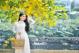 “Hot girl bánh mướt” xứ Nghệ khoe dịu dàng mùa hoa hoàng yến