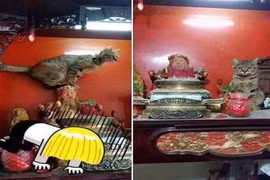 Chủ nhân tá hỏa với lý do cúng mãi không hết xui tháng cô hồn