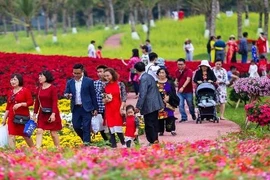 Giá cả quá đắt Lễ hội hoa xuân Ecopark không hợp gia đình có trẻ nhỏ,