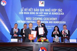 Cầu thủ Việt Nam đứng trước cơ hội tới Bundesliga thi đấu