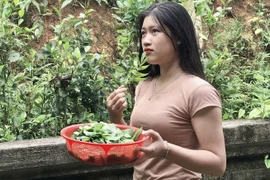 Ra vườn hái rau, cô gái Quảng Bình bất ngờ được CĐM chú ý nhờ điều này