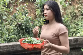 Ra vườn hái rau, cô gái Quảng Bình bất ngờ được CĐM chú ý nhờ điều này
