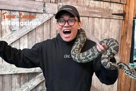 GIỚI TRẺ CHI TIỀN TRIỆU NUÔI RẮN LÀM THÚ CƯNG