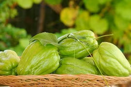 Loại quả vừa bổ, vừa chữa nhiều bệnh thế này mà nhiều người không biết 