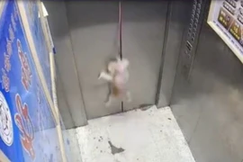 Chó cưng may mắn thoát chết khi dây xích bị kẹt trong thang máy