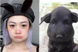 Mặt sưng vì răng khôn, Hảo Thỏ vẫn "tấu hài" cực căng