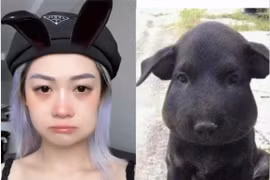 Mặt sưng vì răng khôn, Hảo Thỏ vẫn "tấu hài" cực căng