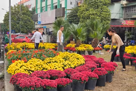 Điểm rác “chui” biến thành vườn hoa sẵn sàng đón Tết