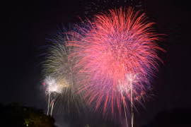 Xem lại các màn pháo hoa rực sáng trên bầu trời chào năm mới 