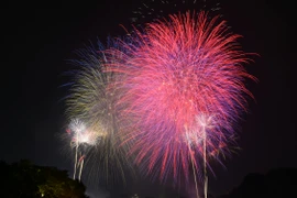 Xem lại các màn pháo hoa rực sáng trên bầu trời chào năm mới 