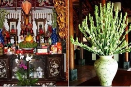 Ngày Tết, cắm 8 loại hoa này trên bàn thờ để tiền tài kéo đến 