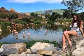 Du lịch Nha Trang không thể bỏ qua 4 địa điểm tuyệt đẹp này