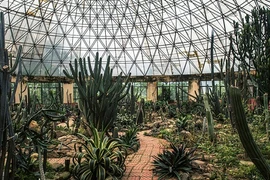 Nhà xương rồng Ba Vì, địa điểm chụp ảnh hút giới trẻ