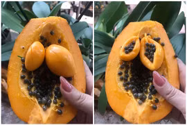 Bổ quả đu đủ, dân mạng "tá hỏa" với thứ xuất hiện bên trong