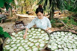 Bỏ thành phố với mức lương khá, cô gái Quảng Nam về quê làm ruộng 