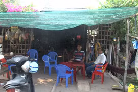 Mất hàng trăm triệu trong cốp xe đi tìm...rắn hổ ngựa