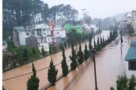 Mênh mông biển nước, dân mạng không khỏi lo lắng cho Đà Lạt 