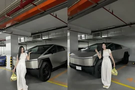 "Hot girl thẩm mỹ" họ Vũ khoe xe điện của Elon Musk