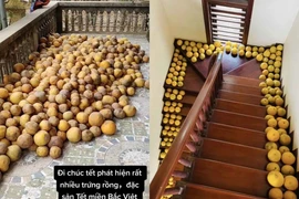 Hình ảnh bưởi chất đầy nhà ngày Tết của gia đình miền Bắc