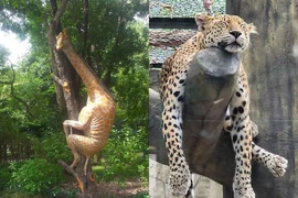 Những bức ảnh của Thảo Cầm Viên khiến người xem ngã ngửa