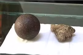 Phát hiện báu vật trong dạ dày cừu giúp gia đình đổi đời