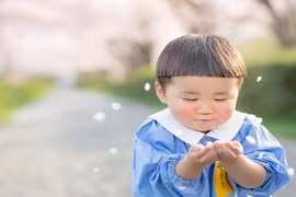 Cậu nhóc Nhật Bản đầu nấm “gây mê” cộng đồng mạng