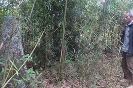 Phát hiện cổ mộ trong vườn nhà tại Thanh Hóa