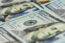 Tỷ giá ngoại tệ hôm nay 11/6: Euro giảm giá, USD giữ giá trong nước