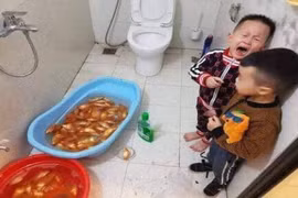 Tắm cho cá chép Táo quân, gia đình nhận cái kết “đắng“