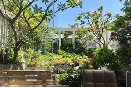 Vườn rau sạch 200m2 sum suê cây trái của nữ giám đốc Sài Gòn 