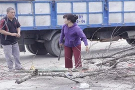 Ảnh: Xót xa cảnh đào, quất bị chặt, đập la liệt trên vỉa hè