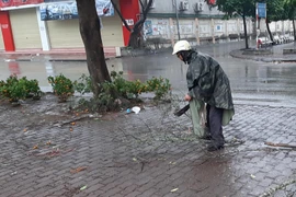 Chảy nước mắt cảnh đào, quất bị tiểu thương đập bỏ chiều 30 Tết