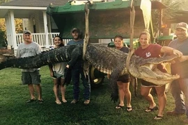 Nữ thợ săn ở Mỹ bắt được cá sấu nặng 300kg