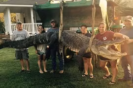 Nữ thợ săn ở Mỹ bắt được cá sấu nặng 300kg