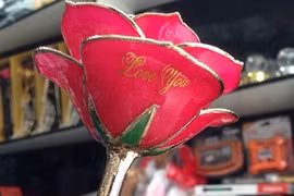 Quà cực độc ngày 20/10: hoa hồng biết nói giá bèo