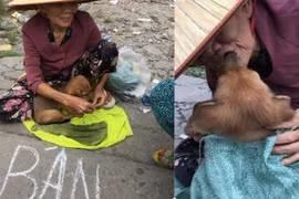 CĐM xót xa trước nụ hôn từ biệt của bà cụ nghèo với chú chó