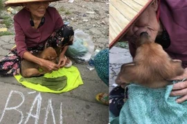 CĐM xót xa trước nụ hôn từ biệt của bà cụ nghèo với chú chó