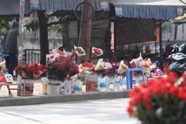 Hoa Valentine ế ẩm, ủ rũ dưới nắng nóng