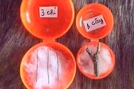 Vợ đòi mua vàng ngày vía Thần tài, hội anh em tỉnh táo né đòn