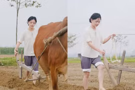 Danh tính gái xinh chăn bò gây bão mạng, tưởng ai hóa người quen