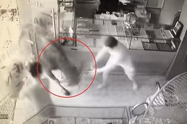 Video: Trâu 'điên' lùa người đi đường, đại náo tiệm vàng 