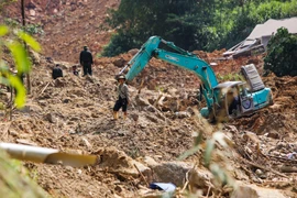 Tìm thấy 8 thi thể trong vụ sạt lở ở thôn Nậm Tông 