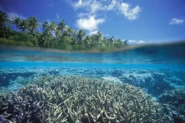 Mê mẩn ngắm 10 hòn đảo san hô đẹp nhất thế giới 