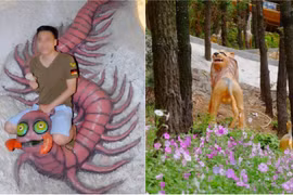 Những tượng đá ngộ nghĩnh từng khiến dân mạng cười ngặt nghẽo