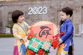 Cháu nội song sinh nhà bầu Hiển chiếm sóng vì quá ư đáng yêu